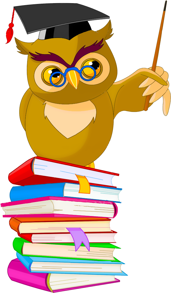 Buy Clipart Wise - Owl Cartoon (622x1023)