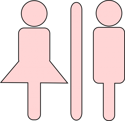 Toilet - Toilet (500x484)
