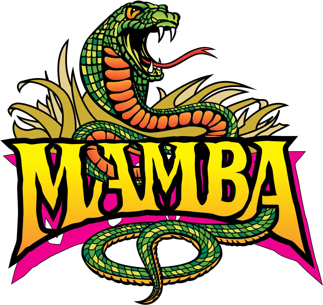 10th Birthday Party - Mamba Worlds Of Fun Logo (1071x1024)