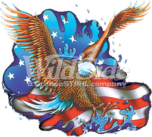 Eagle / Flag - Golden Eagle (525x525)