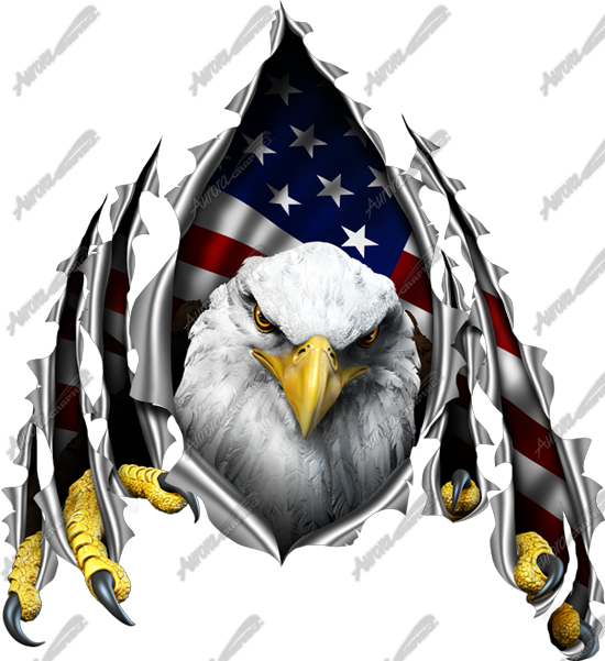 Download Eagle Ripping Through American Flag Clipart - American Flag Eagle Rip (550x601)