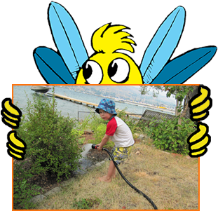 Hug Bug Club Photos - Fan Mail (400x350)