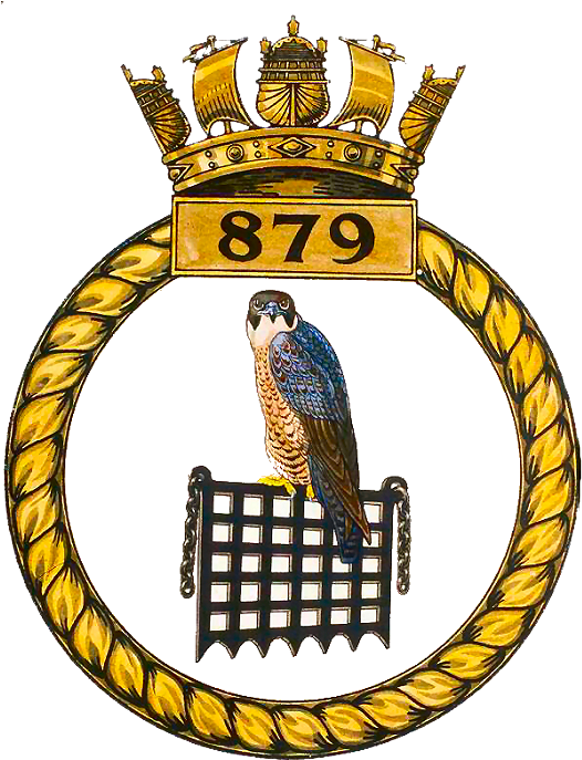 879 Nas Navy Badges, Naval History, Royal Navy, Coat - Dayanand Public School Bikaner (527x700)