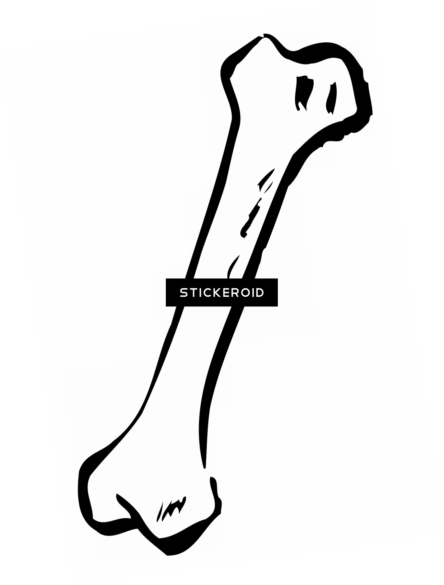 Bone - Human Bone Clip Art (1427x1878)