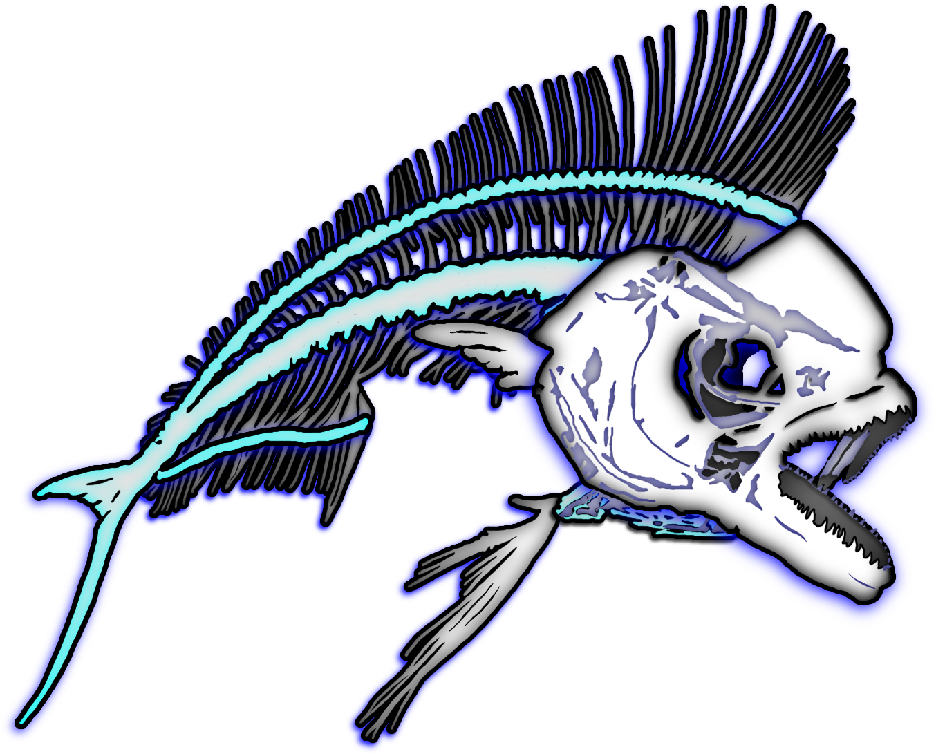Banner Free Download Mahi Fish Bones Graphic - Mahi Mahi Drawn (1500x1150)
