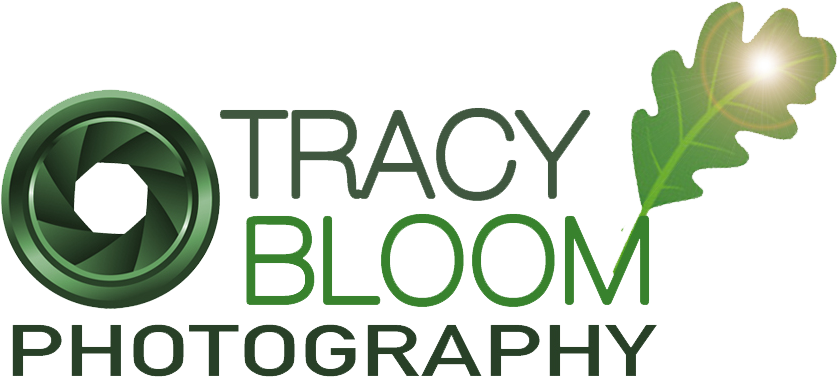 Photography By Tracy L Bloom - Photography By Tracy L Bloom (932x436)