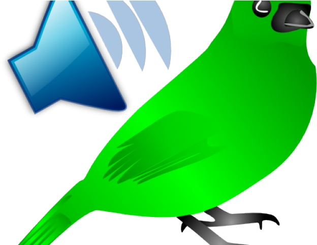 Noise Clipart Bird Sound - Noise Clipart Bird Sound (640x480)