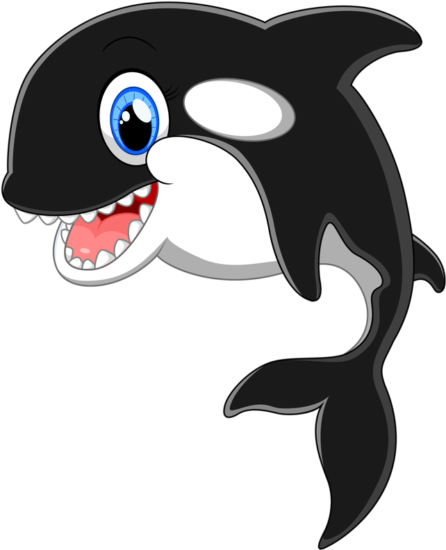 Safari‿✿⁀•○ Cartoon Dolphin, Cartoon - Safari‿✿⁀•○ Cartoon Dolphin, Cartoon (645x800)