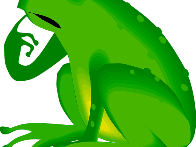 Cartoon Animals Clipart Frog - Cartoon Animals Clipart Frog (640x480)