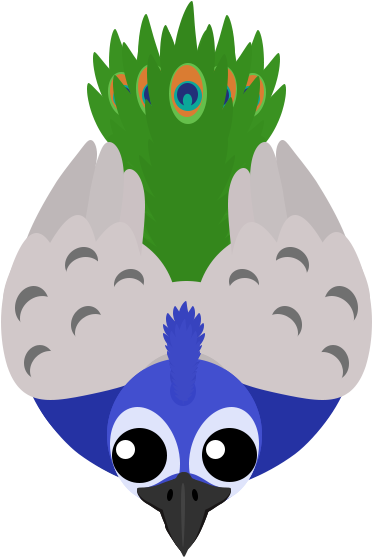 Peacock Hold W To Open It's Tail, Which Hypnotizes - Peacock Hold W To Open It's Tail, Which Hypnotizes (500x600)