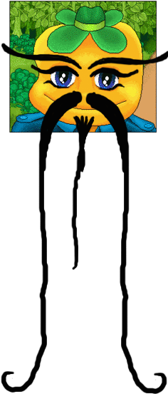 Next Is Zimo - Next Is Zimo (237x563)