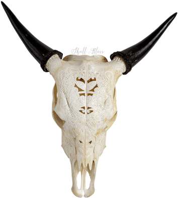 Cow Skulls Page Skull - Cow Skulls Page Skull (430x430)