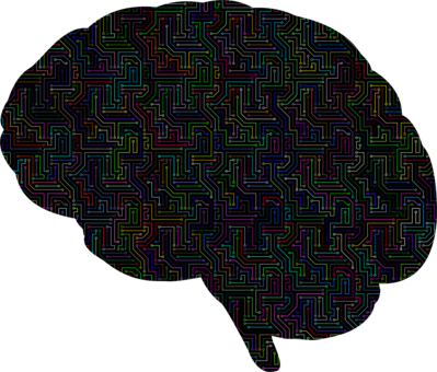 Brain Visual Perception World Of Ghost In The Shell - Brain Visual Perception World Of Ghost In The Shell (399x340)