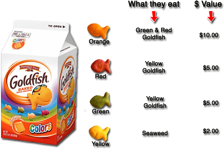 Profit Of $2, Red Goldfish Will Make A Profit Of $5 - Profit Of $2, Red Goldfish Will Make A Profit Of $5 (968x649)