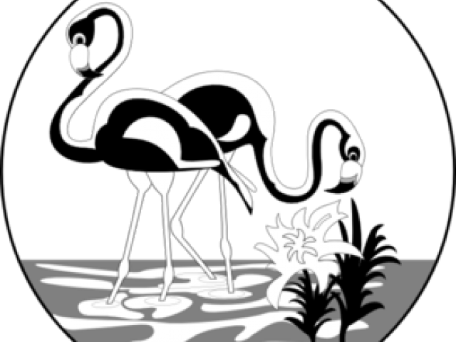 Flamingo Clipart Black And White - Flamingo Clipart Black And White (640x480)