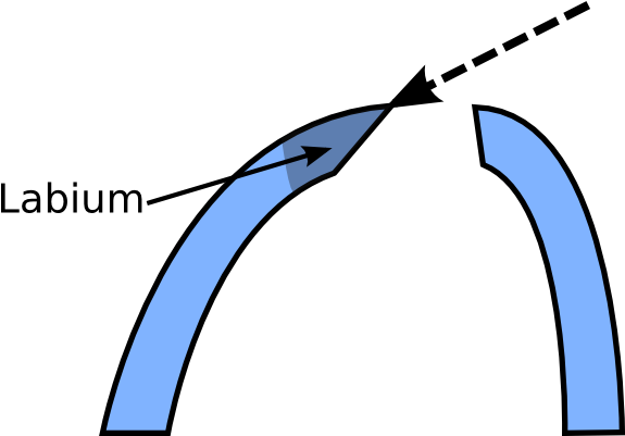 The Dashed Line In The Diagram Below - The Dashed Line In The Diagram Below (600x400)