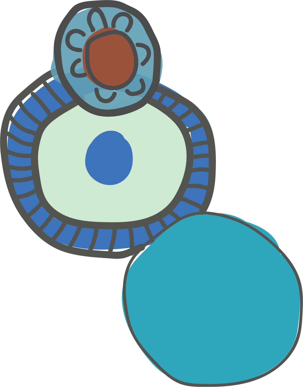 Designing An Evaluation Of Aboriginal And Torres Strait - Designing An Evaluation Of Aboriginal And Torres Strait (1286x1640)