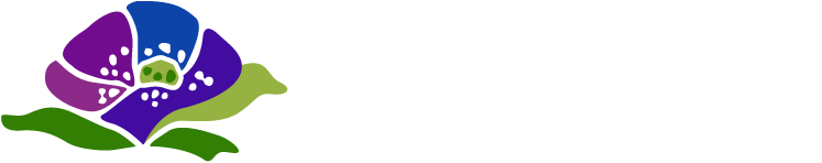 12 Days Of Christmas Beauty Sale Specials - 12 Days Of Christmas Beauty Sale Specials (798x223)