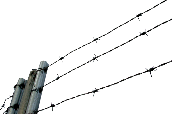 Barbed Chain Link Fencing Clip Art Transprent - Barbed Chain Link Fencing Clip Art Transprent (650x432)