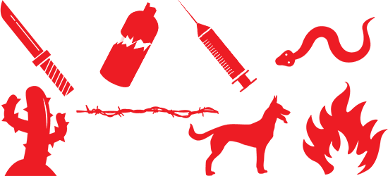 Testing In The Real World - Testing In The Real World (550x250)