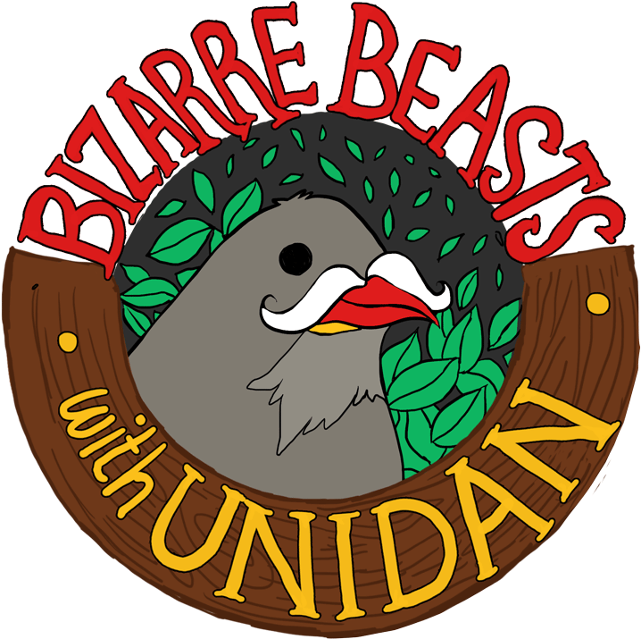 Bizarre Beasts With Unidan Logo - Bizarre Beasts With Unidan Logo (800x800)