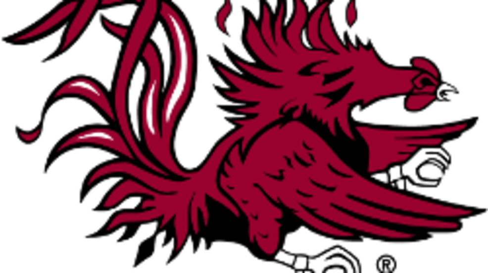 Gamecocks Announce 2019 Football Schedule - Gamecocks Announce 2019 Football Schedule (986x552)