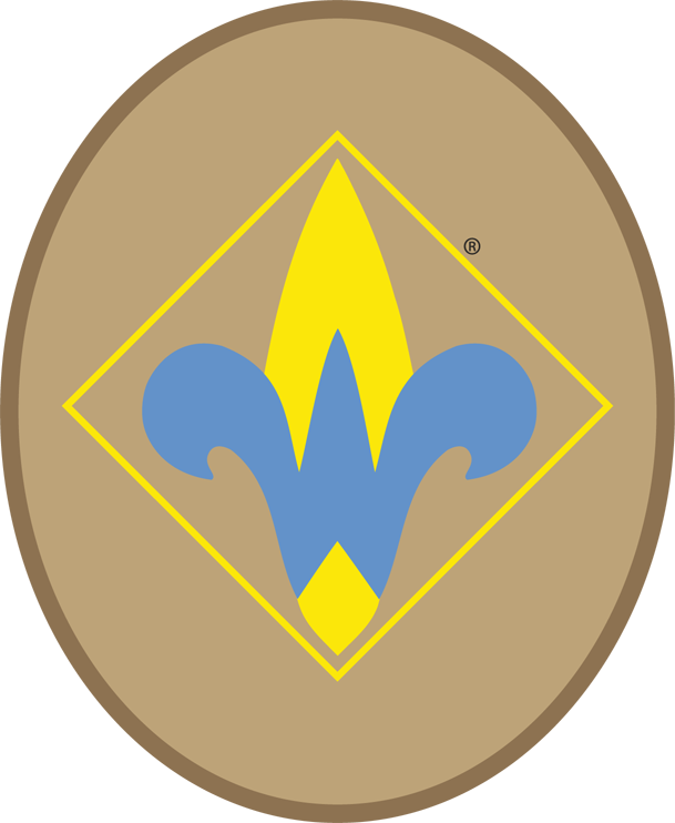Pack 74 Webelos - Pack 74 Webelos (609x742)