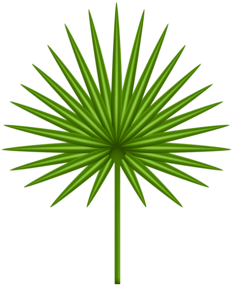 Free Png Download Exotic Leaf Transparent Clipart Png - Free Png Download Exotic Leaf Transparent Clipart Png (480x591)