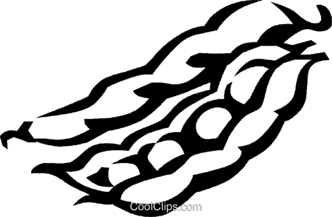 Fava Beans Royalty Free Vector Clip Art Illustration - Fava Beans Royalty Free Vector Clip Art Illustration (480x314)