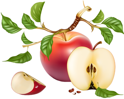 Tubes Fruits / Légumes Ecrire Un Nouvel Article - Tubes Fruits / Légumes Ecrire Un Nouvel Article (500x401)