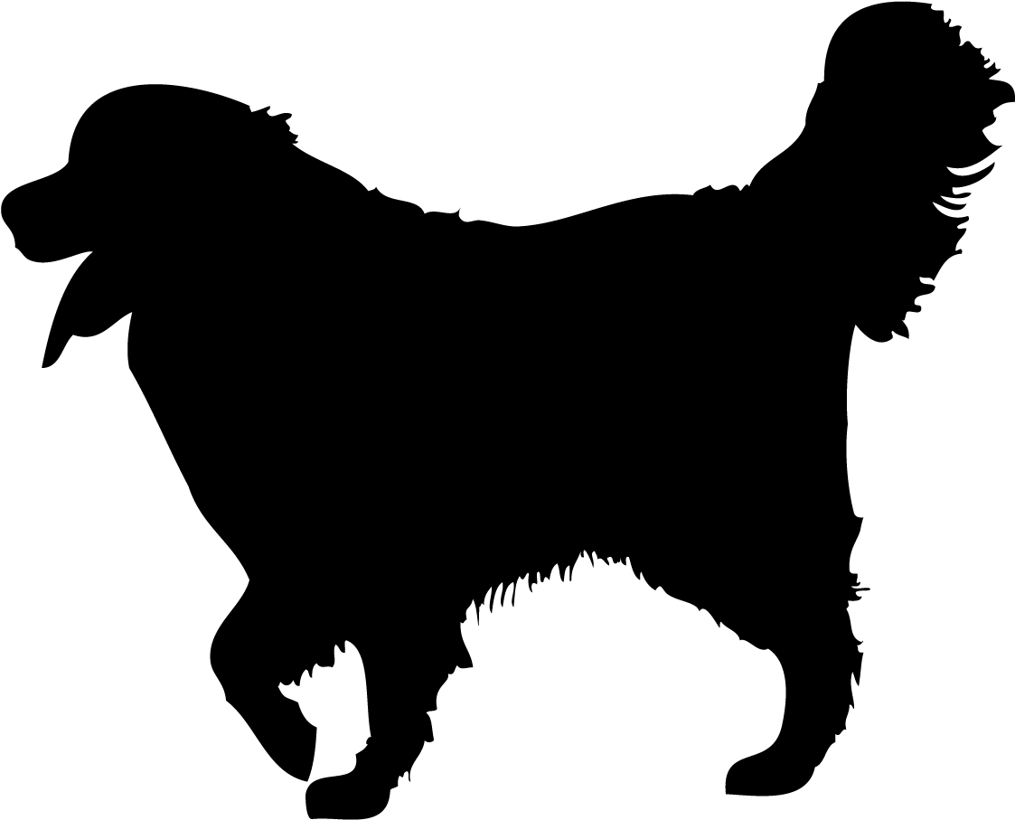 Chondroitin And Glucosamine - Chondroitin And Glucosamine (1260x1260)