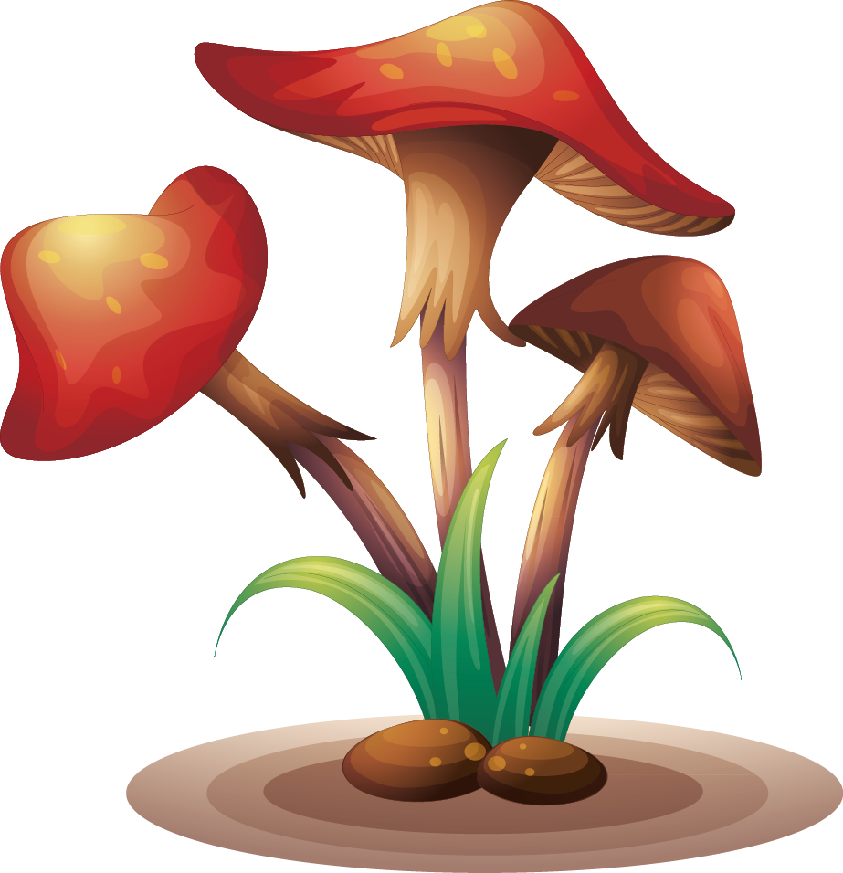 Fungus Clip Art Transprent - Fungus Clip Art Transprent (923x956)