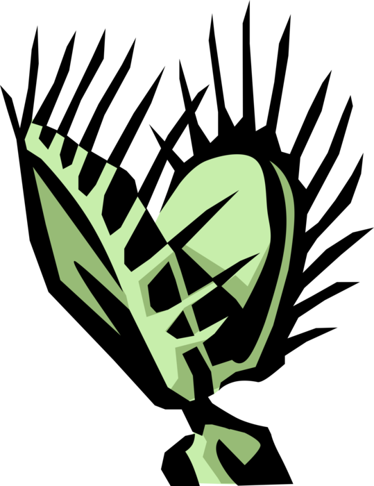Vector Flytrap - Vector Flytrap (539x700)