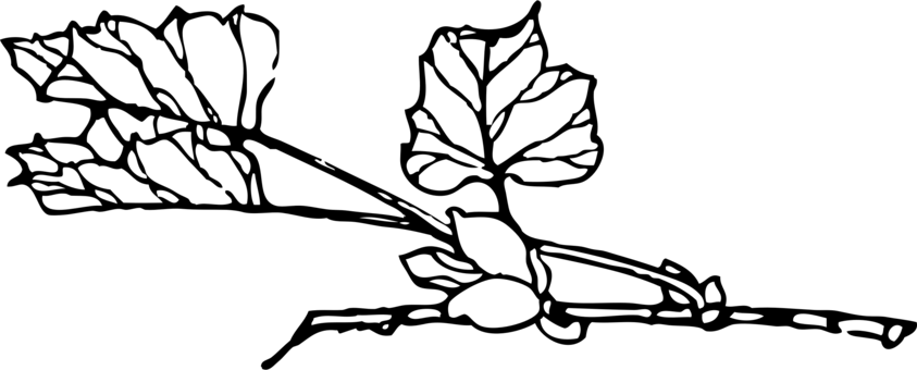 Download Computer Icons Line Art Drawing Graphic Arts - Download Computer Icons Line Art Drawing Graphic Arts (843x340)