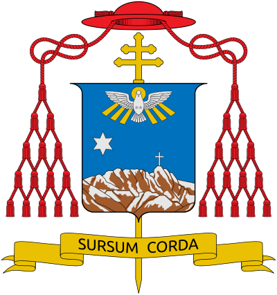 Archbishop Of Krakow And Cardinal - Archbishop Of Krakow And Cardinal (400x426)
