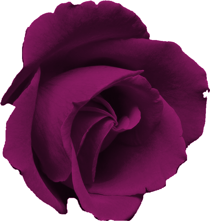 Free Flower Clip Art Images - Free Flower Clip Art Images (761x854)