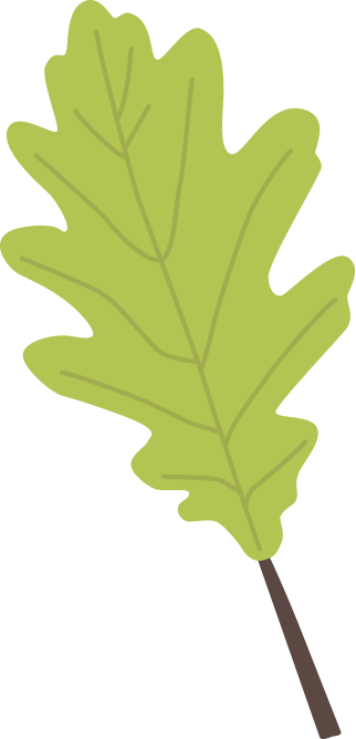 Cute Animals Set Clip Art Department Leaf - Cute Animals Set Clip Art Department Leaf (322x668)