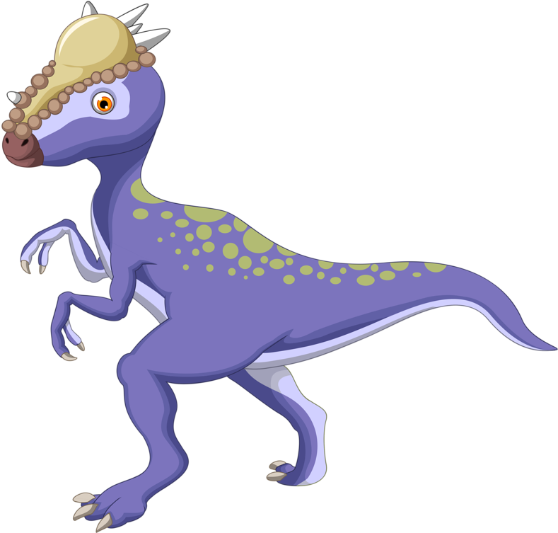 Png Clip Art - Png Clip Art (800x754)