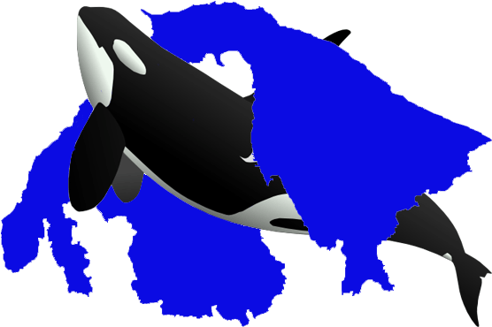 Orcas Islandelementary School - Orcas Islandelementary School (620x437)