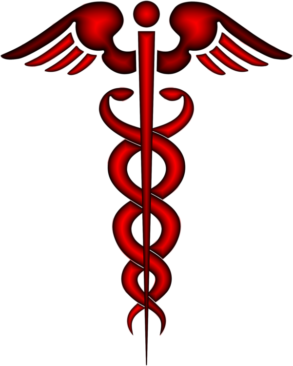 All Photo Png Clipart - All Photo Png Clipart (601x750)