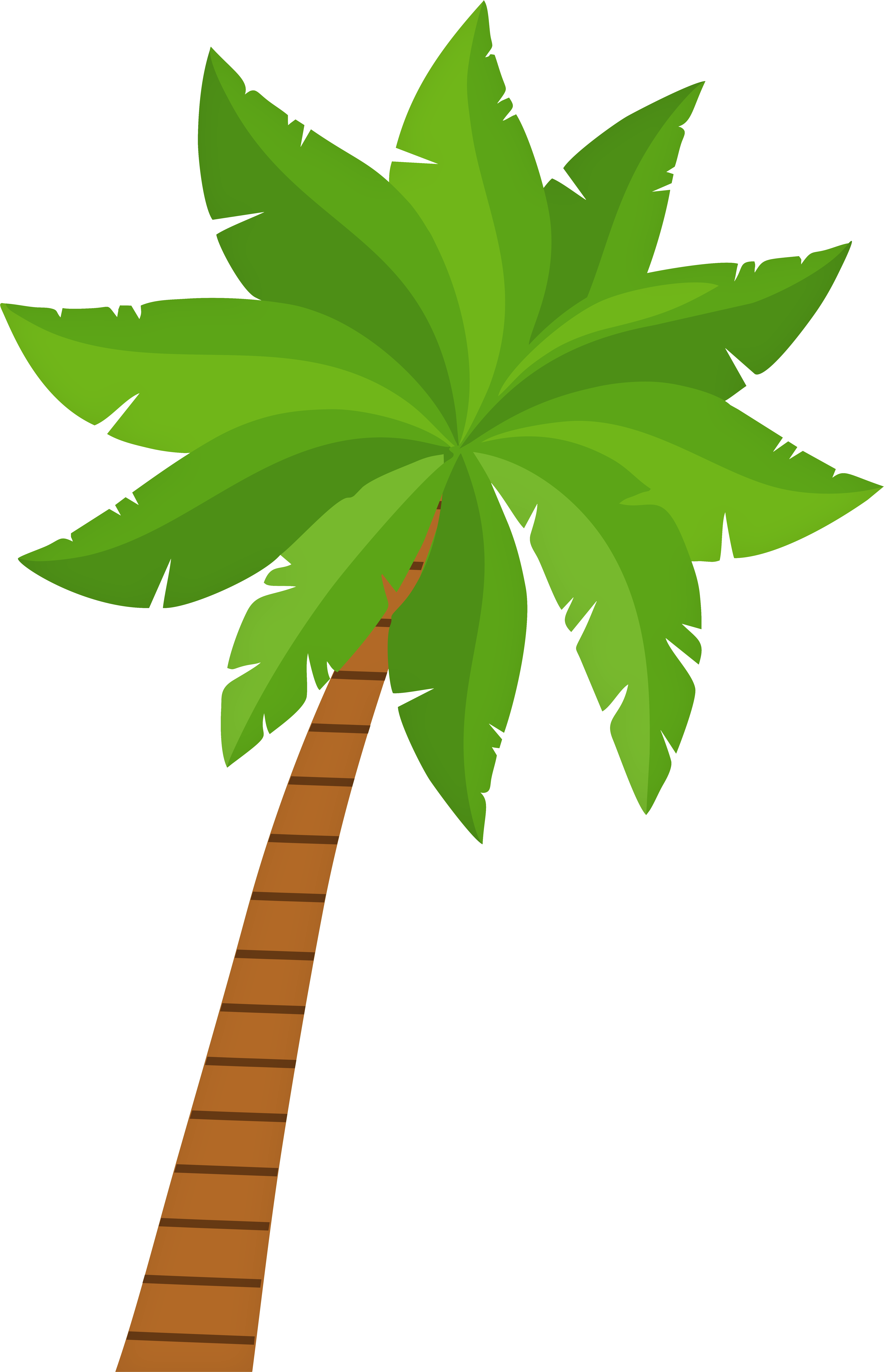 Palm Tree Png Clip Art 2869 - Palm Tree Png Clip Art 2869 (5181x8000)