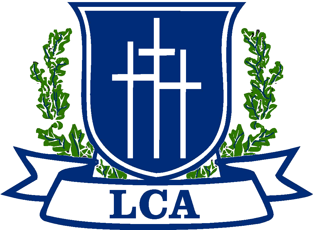 Fast Facts About Lca - Fast Facts About Lca (1143x787)