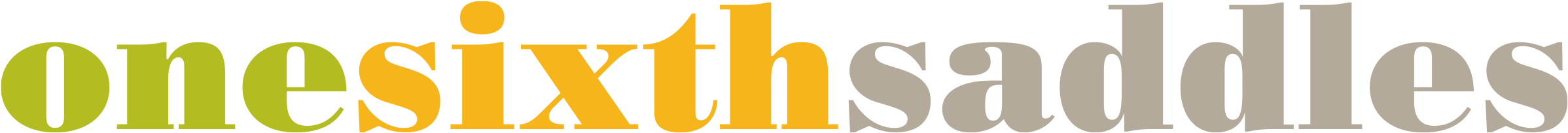 One Sixth Saddles Small Scale Replicas Of Modern Western - One Sixth Saddles Small Scale Replicas Of Modern Western (2400x227)