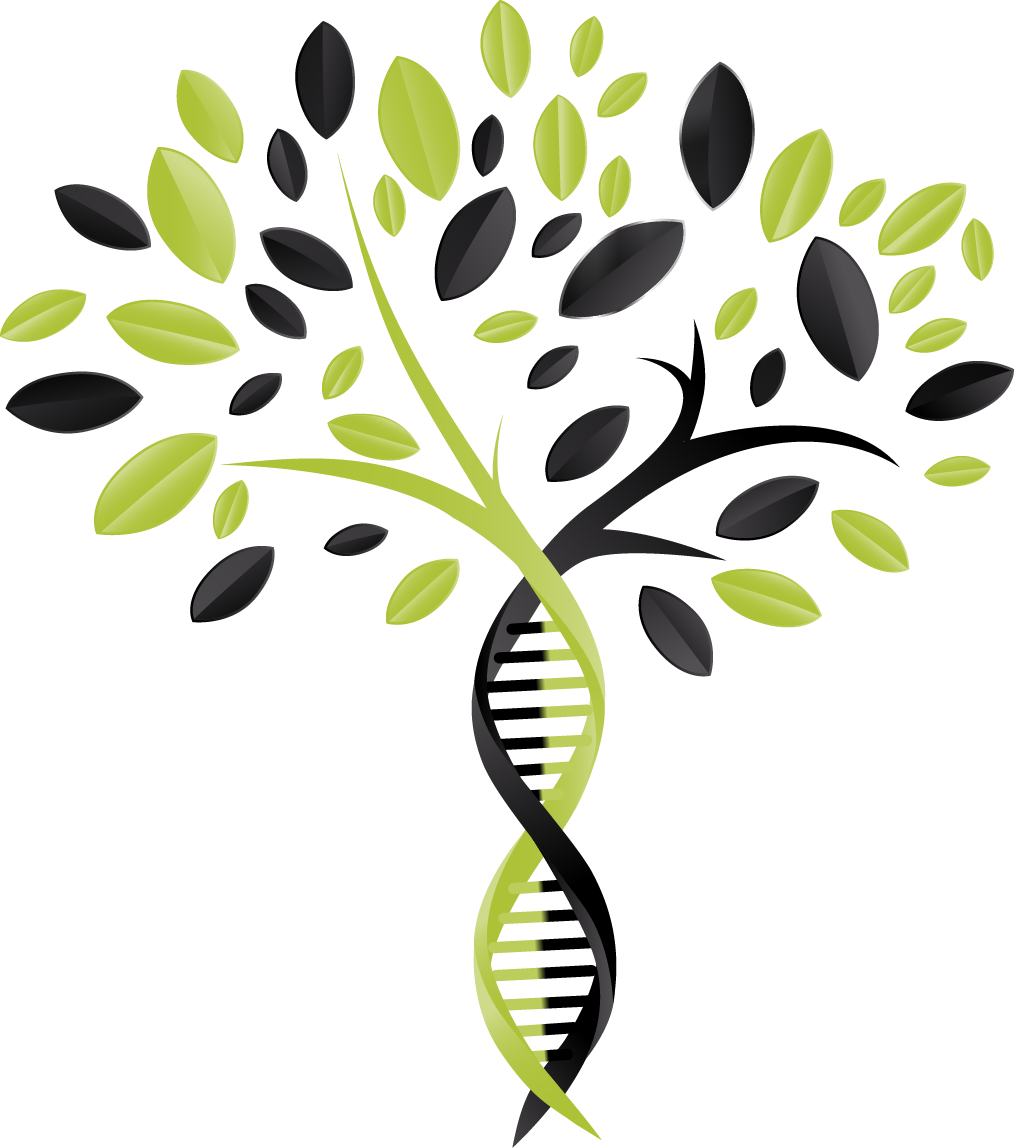 Icon 300 Dpi - Icon 300 Dpi (1014x1148)