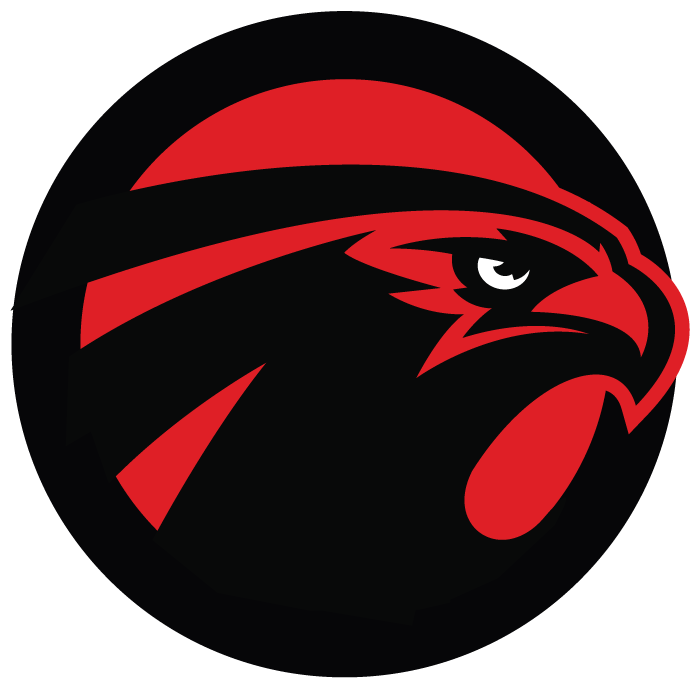 Super Bowl 2017 Png Library - Super Bowl 2017 Png Library (1000x800)