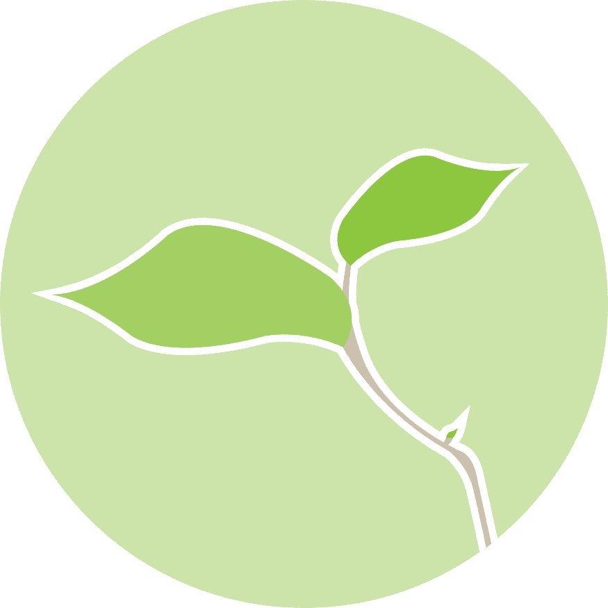 Ced 2014 19334 Mandala Final - Ced 2014 19334 Mandala Final (875x875)