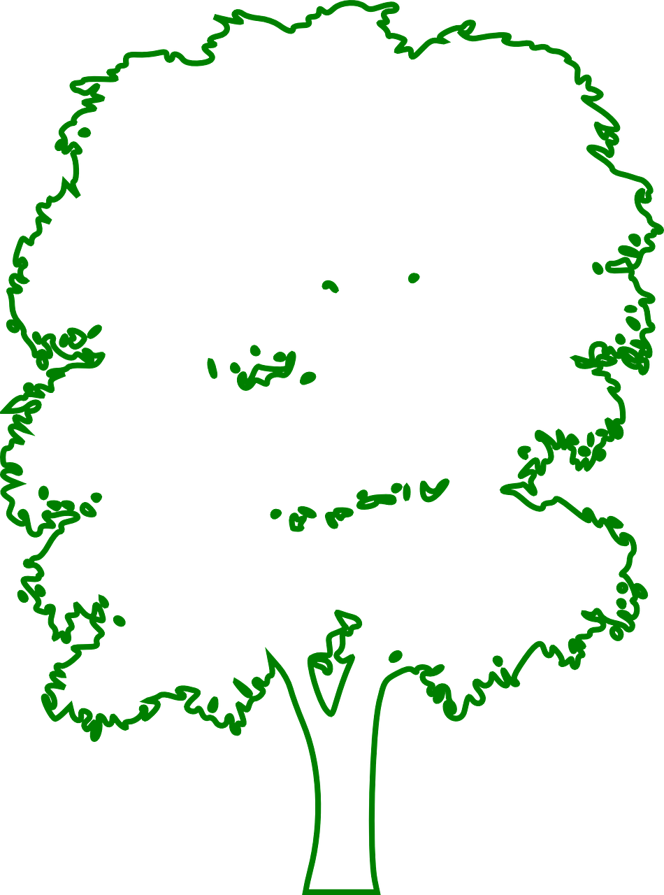 Forest, Tree, Nature, Forest, Wood, Environment - Forest, Tree, Nature, Forest, Wood, Environment (950x1280)