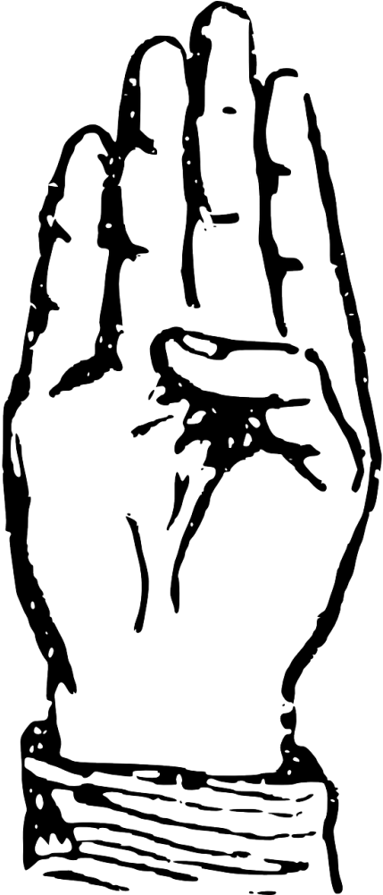 Hand Vector Graphics - Hand Vector Graphics (500x1000)