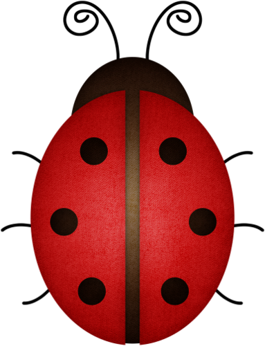 Types Of Insects, Baby Ladybug, String Art, Spring - Types Of Insects, Baby Ladybug, String Art, Spring (383x500)