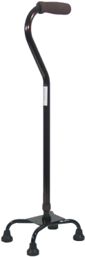 Walking Stick Picture Free Clipart Hq - Walking Stick Picture Free Clipart Hq (400x400)
